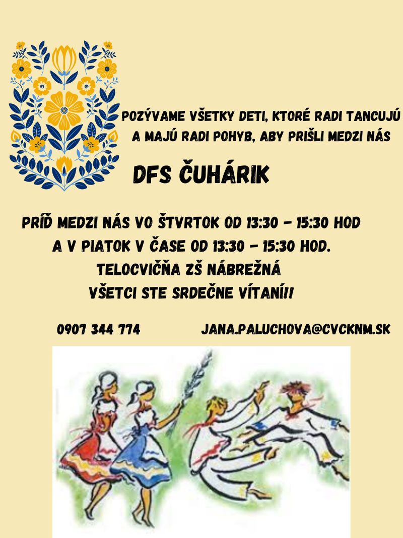 DFS Čuhárik